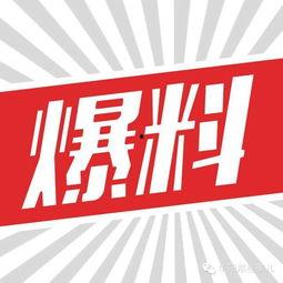 甘肃头条最新爆料,揭秘重大事件背后真相！  第3张